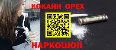 МДПВ Новодвинск