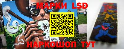 МДПВ Новодвинск