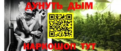 МДПВ Новодвинск