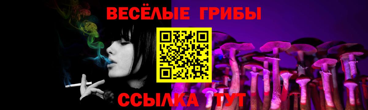 Псилоцибиновые грибы Psilocybine cubensis Углич